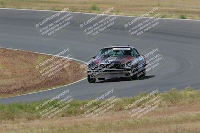 media/May-04-2024-Lucky Dog Racing (Sat) [[d39539b3f3]]/Race Pics/1015am (Turn 2)/